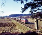218 010 (Bw Regensburg) rollt mit einem Güterzug bei Reichenschwand auf Hersbruck zu. (01.1975) <i>Foto: Ferdinand Leja</i>