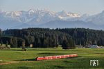 Blick auf die Allgäuer Alpen mit 245 003 vor RE 57515 nach München bei Seeg. (20.04.2015) <i>Foto: Zeno Pillmann</i>