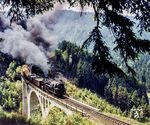 95 0004 räuchert mit einem Güterzug aus Sonneberg über den "Nasse Telle"-Viadukt auf dem Streckenabschnitt Lauscha - Ernstthal, das am 14.12.2001 gesprengt und durch einen Neubau ersetzt wurde.  (02.06.1979) <i>Foto: Karsten Risch</i>