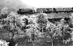 Als 94 988 (Bw Bingerbrück/Lokbf Boppard) am 1. Mai 1932 mit P 3637 auf Boppard zurollte, standen die Kirschbäume an der Steilstrecke in voller Blüte. (01.05.1932) <i>Foto: DLA Darmstadt (Bellingrodt)</i>