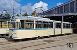 Der Tw 1206 gehört zu einer Serie von 120 Fahrzeugen, die zwischen 1961 und 1967 vom VEB Waggonbau Gotha gebaut wurden. Seit April 1996 gehört der Tw 1206 zum Bestand des Leipziger Straßenbahnmuseum an der Wittenberger Straße. (18.09.2022) <i>Foto: Andreas Höfig</i>