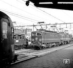 NS 1145 und 1203 mit einem "Hundekopf" (Mat'57) im Bahnhof Arnheim/NL. (25.09.1965) <i>Foto: Jörg Schulze</i>