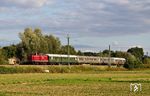 212 371 der Umwelt- und Transportlogistik Singen/Htw mit Sonderzug DPN 5717 (Heilbronn - Babenhausen) bei Hoffenheim. (10.09.2017) <i>Foto: Marvin Christ</i>