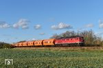 232 701 ARP Logistik GmbH (Saalburg-Ebersdorf) zieht einen Zug aus leeren Getreidewagen bei Zitzschen, südlich von Leipzig, nach Adorf im Vogtland.  (02.11.2022) <i>Foto: Ralf Opalka</i>
