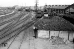 Blick in das Bw Göttingen Pbf mit Loks der Baureihen 41, 38.10 und 50. (05.1951) <i>Foto: A. Dormann, Slg. W. Löckel</i>