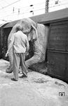 Ausladung eines Elefanten im Bahnhof Schwetzingen, der sich bei dieser Aktion ganz schön verbiegen musste. (05.1960) <i>Foto: Alfred Volk</i>