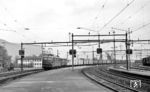 E 40 138 (Bw Offenburg) fährt als Leihlok vor einem Güterzug durch den Bahnhof Brugg im Schweizer Kanton Aargau. (10.1962) <i>Foto: Karl Wyrsch, Slg. D. Ammann</i>