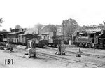 Putbus bildete seit der Eröffnung der ersten Schmalspurbahn nach Bergen im August 1889 das betriebliche Zentrum der Rügenschen Kleinbahnen. Von Beginn an war ein zweigleisiger Fachwerk-Lokschuppen mit sechs Ständen vorhanden. Bei dem Fachwerkgebäude waren die Ausfachungen mit Ziegeln ausgemauert, gedeckt war der Schuppen mit einem einfachen Pappdach. Später wurden an das Gebäude eine Werkstatt sowie verschiedene Lager angebaut. Im Laufe der Zeit entstand eine separate Werkstatt, die wie der Lokschuppen ausgeführt war. Nach der Übernahme der Schmalspurbahn durch die Deutsche Reichsbahn wurde in Putbus am 1. Januar 1950 das Bahnbetriebswerk Putbus gegründet, dem die Lokeinsatzstellen Altefähr, Altenkirchen, Bergen (Rügen) Ost und Göhren unterstanden. Am 31. Dezember 1966 wurde das Bw als selbstständige Dienststelle aufgelöst und dem Bahnbetriebswerk Stralsund angegliedert. Der Normalspurlokschuppen fungierte als Einsatzstelle Putbus des Bahnbetriebswerkes Sassnitz (bis 1967) und des Bahnbetriebswerkes Stralsund, bis zur Auflösung der Einsatzstelle 1993. Der alte Lokschuppen wurde 1985 abgerissen und durch einen Neubau ersetzt. Die Anlagen werden heute durch die PRESS weiterhin genutzt.  (21.08.1966) <i>Foto: Gerd Wolff</i>