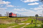 245 004 mit RE 11010 auf dem Weg nach Westerland (Sylt) westlich von Niebüll.  (30.04.2023) <i>Foto: Thorsten Eichhorn</i>