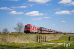 245 024, in Diensten von DB-Fernverkehr, vor AS 1434 nach Westerland (Sylt) westlich von Niebüll. (30.04.2023) <i>Foto: Thorsten Eichhorn</i>