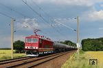 Die in alten Reichsbahnfarben lackierte 250 004 der Budamar West GmbH mit einem leeren Kesselwagenzug von Dresden-Friedrichstadt nach Ingolstadt bei Machern.  (10.06.2023) <i>Foto: Ralf Opalka</i>
