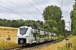 Der Siemens Mireo 463 077 der S-Bahn Rhein-Neckar gehört eigentlich nicht in diese Gegend. Als Lt 70580 war er bei Haan-Gruiten auf dem Weg von Dortmund-Eving nach Mannheim. (03.07.2023) <i>Foto: Joachim Bügel</i>
