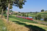 Wegen eines Fahrleitungsschaden in Konstanz endete RE 4709 aus Karlsruhe an diesem Tag außerplanmäßig in Radolfzell. 146 237 fährt mit dem Zug im Donautal bei Gutmadingen vorbei. (15.07.2023) <i>Foto: Zeno Pillmann</i>