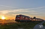 Sonnenaufgang am Betriebsbahnhof Lehnshallig. 245 026 befördert im AS 1406 die ersten Feriengäste des Tages nach Sylt. (05.09.2023) <i>Foto: Joachim Bügel</i>