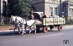 Ein typischer 2-PS-Biertransport, wie er bis in die 1960er Jahre häufig zu finden war, aufgenommen in Göttingen. Da die Bierkutscher bei der Anlieferung gerne zu einem kühlen Schluck eingeladen wurden, war der Transport mit den Pferden sowohl für die (möglicherweise irgendwann nicht mehr ganz nüchterne) Mannschaft wie auch für die Brauerei sicherer, denn die Pferde fanden immer nach Hause. (14.09.1962) <i>Foto: Detlev Luckmann</i>