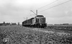 Diesellok DL 1 (MaK, Baujahr 1958) mit einem Güterzug bei Girbelsrath auf der Strecke nach Nörvenich. (28.07.1960) <i>Foto: Aad van Ooy</i>