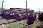 Blick in das Bw Ulm mit den dort stationierten 50 437, 03 275, 50 118 und weiteren Lokomotiven. (05.1968) <i>Foto: Wolfgang Staiger</i>