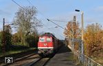 Die Kohlependelzüge von Profen nach Chemnitz-Küchwald werden normalerweise von Loks der Baureihe Class 66 befördert. Als Ersatzlok sprang diesmal 232 701 ein, die mit dem beladenen Kohlezug durch Markkleeberg West röhrt.  (22.11.2023) <i>Foto: Ralf Opalka</i>