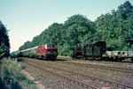 216 067 kreuzt mit D 1449 die im Bahnhof Hämelerwald wartende 050 979 vor Gag 57462. (10.07.1974) <i>Foto: Wolfgang Bügel</i>